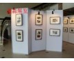 博物館奇妙展覽展板，一裝即用式展覽屏風(fēng)