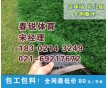 溧陽(yáng)足球場(chǎng)人造草坪施工材料承建